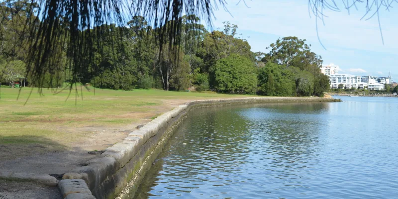 Lakeside park with grassy open space, stone retaining wall along calm water, mature trees providing shade, and apartment buildings visible across the lake