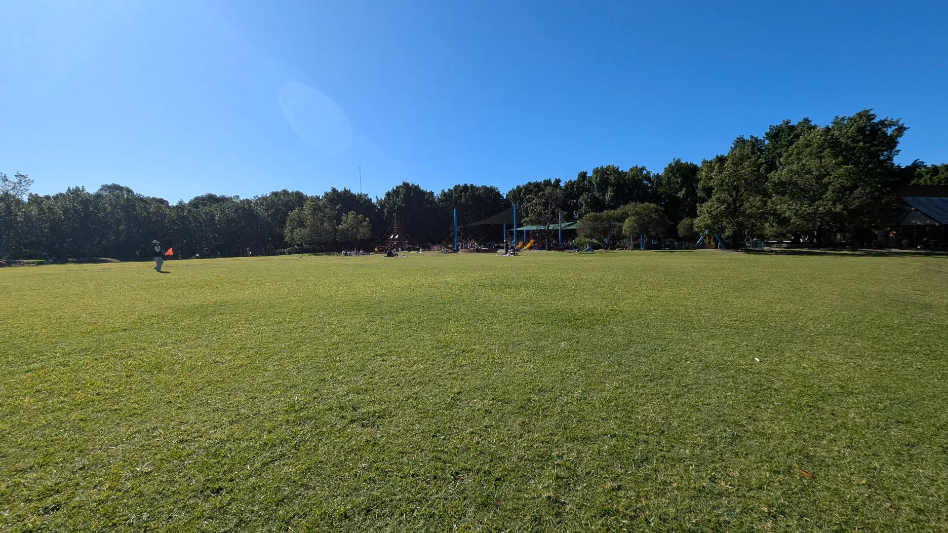 Large grassy field at Bicentennial Park with playground equipment and trees in background under clear blue sky