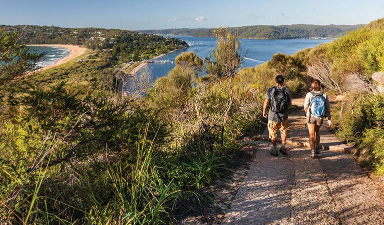 Walking track climbing through bush toward Barrenjoey Headland with coastal views.