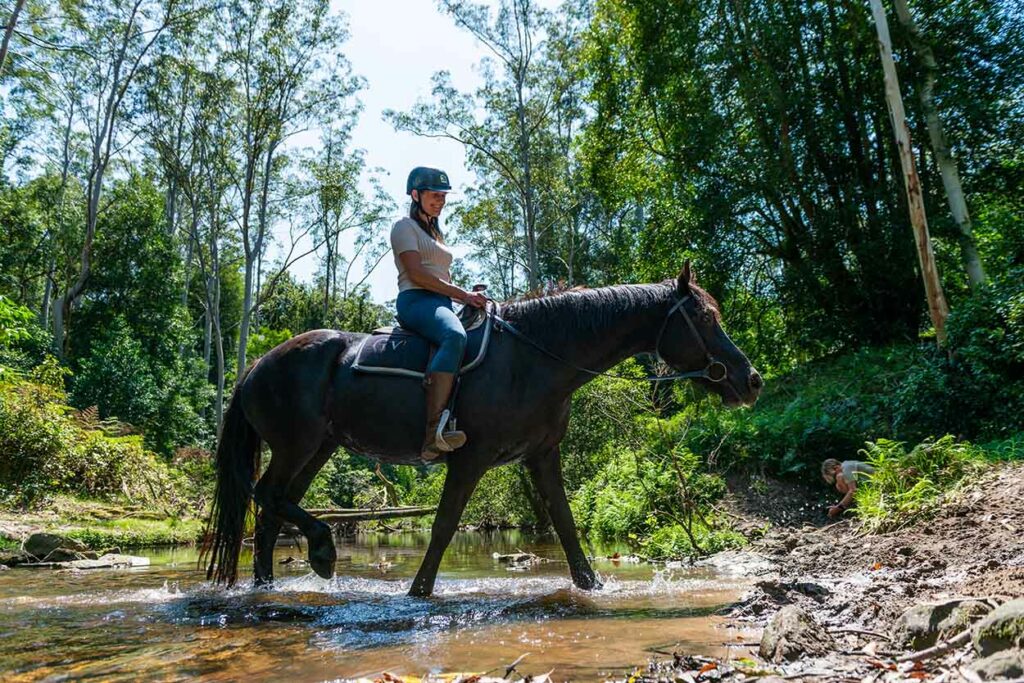 Horse riders crossing a creek at Glenworth Valley