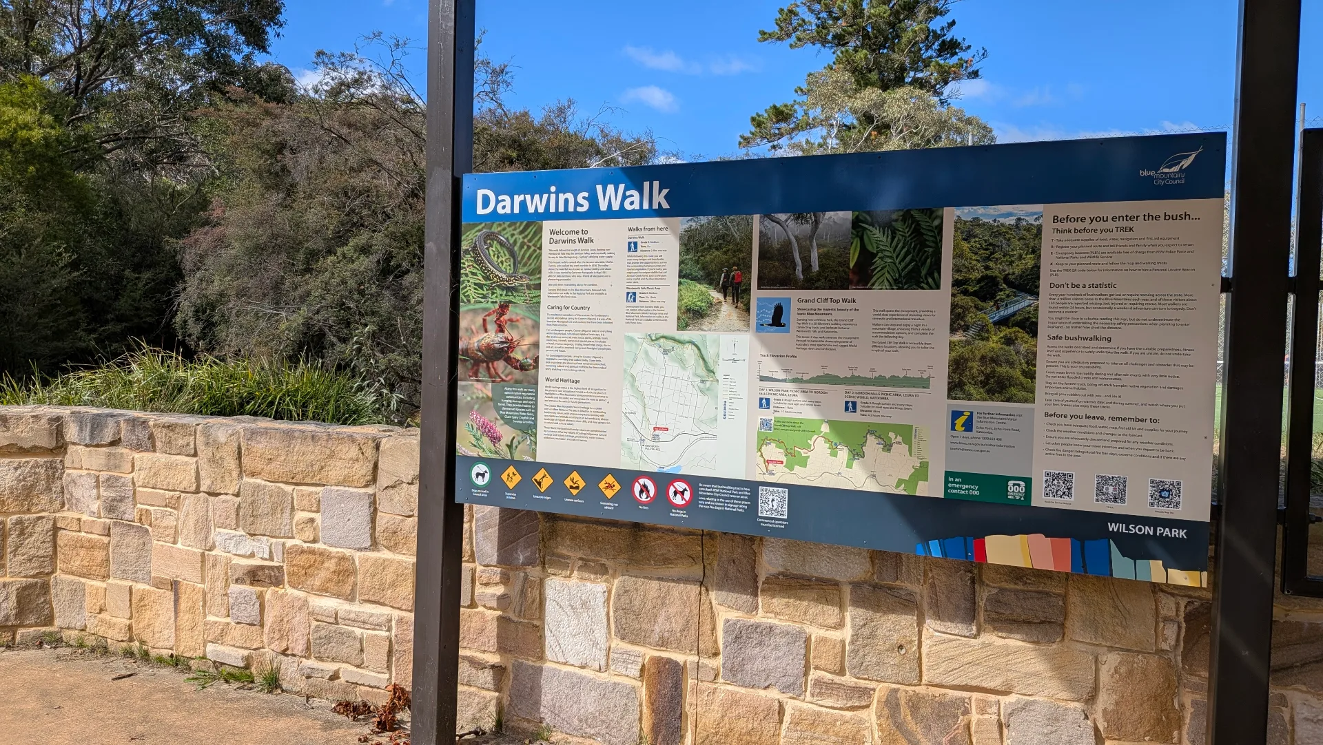 Information board for Darwins Walk showing trail maps, safety guidelines, and native wildlife photos including lizards and plants, mounted on stone wall in Wilson Park