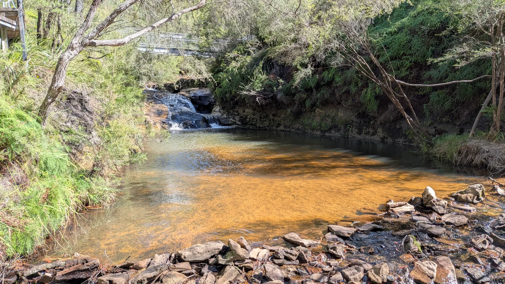 Natural swimming hole with clear water reflecting golden sunlight, surrounded by native vegetation and rocky edges along the Charles Darwin Walk trail.