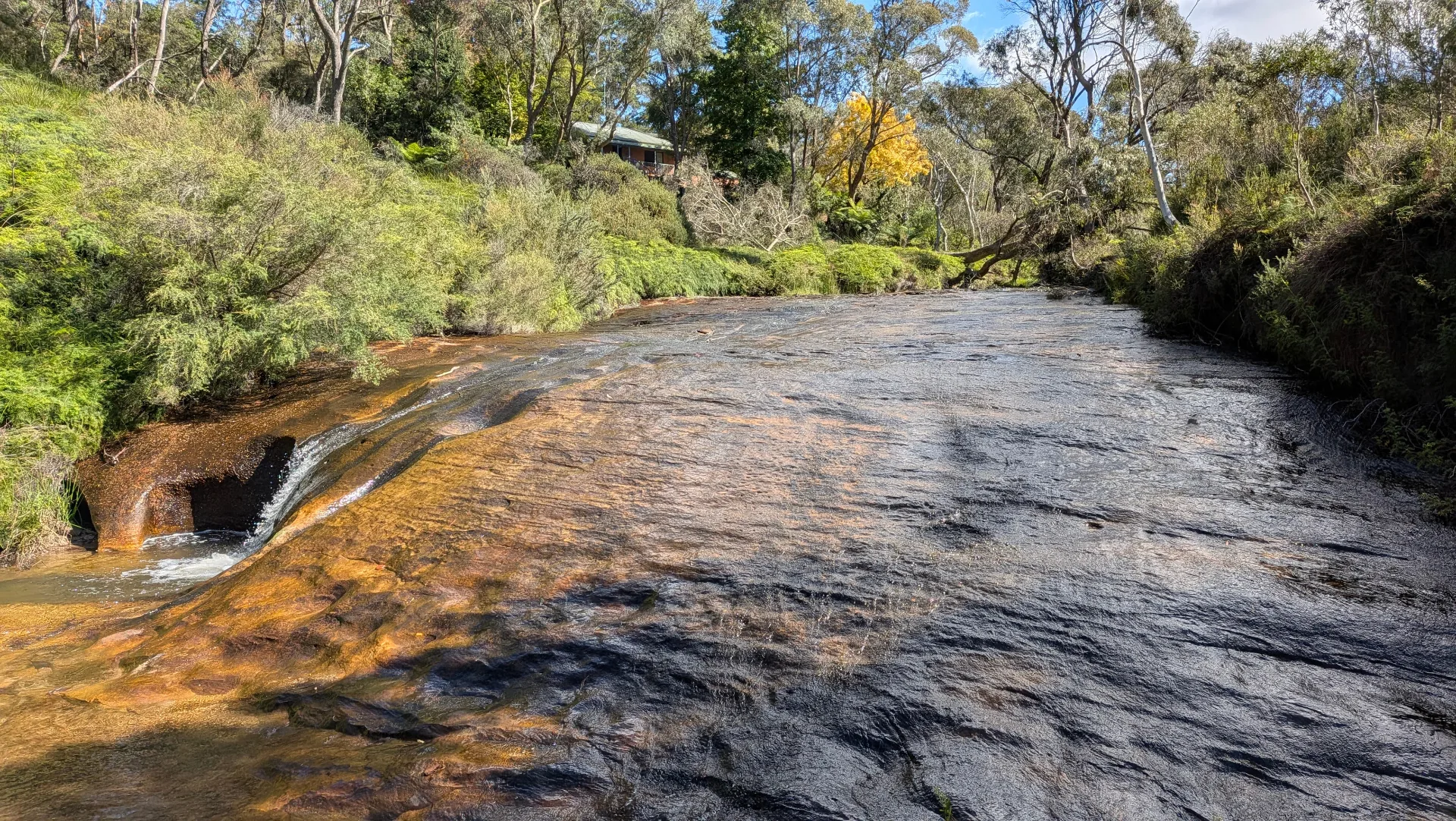 Wide rock waterfall cascading over smooth stone formations surrounded by lush green ferns and eucalyptus trees along Charles Darwin Walk nature trail