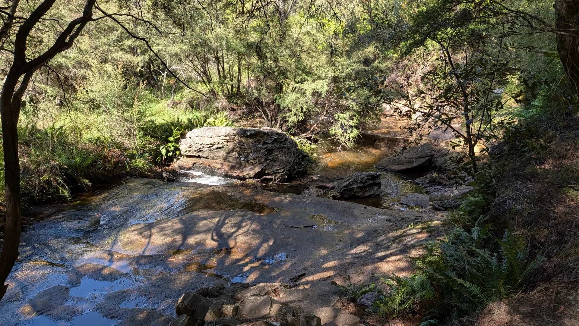 Natural creek with smooth rock pools surrounded by native vegetation and shaded walking paths along Charles Darwin Walk