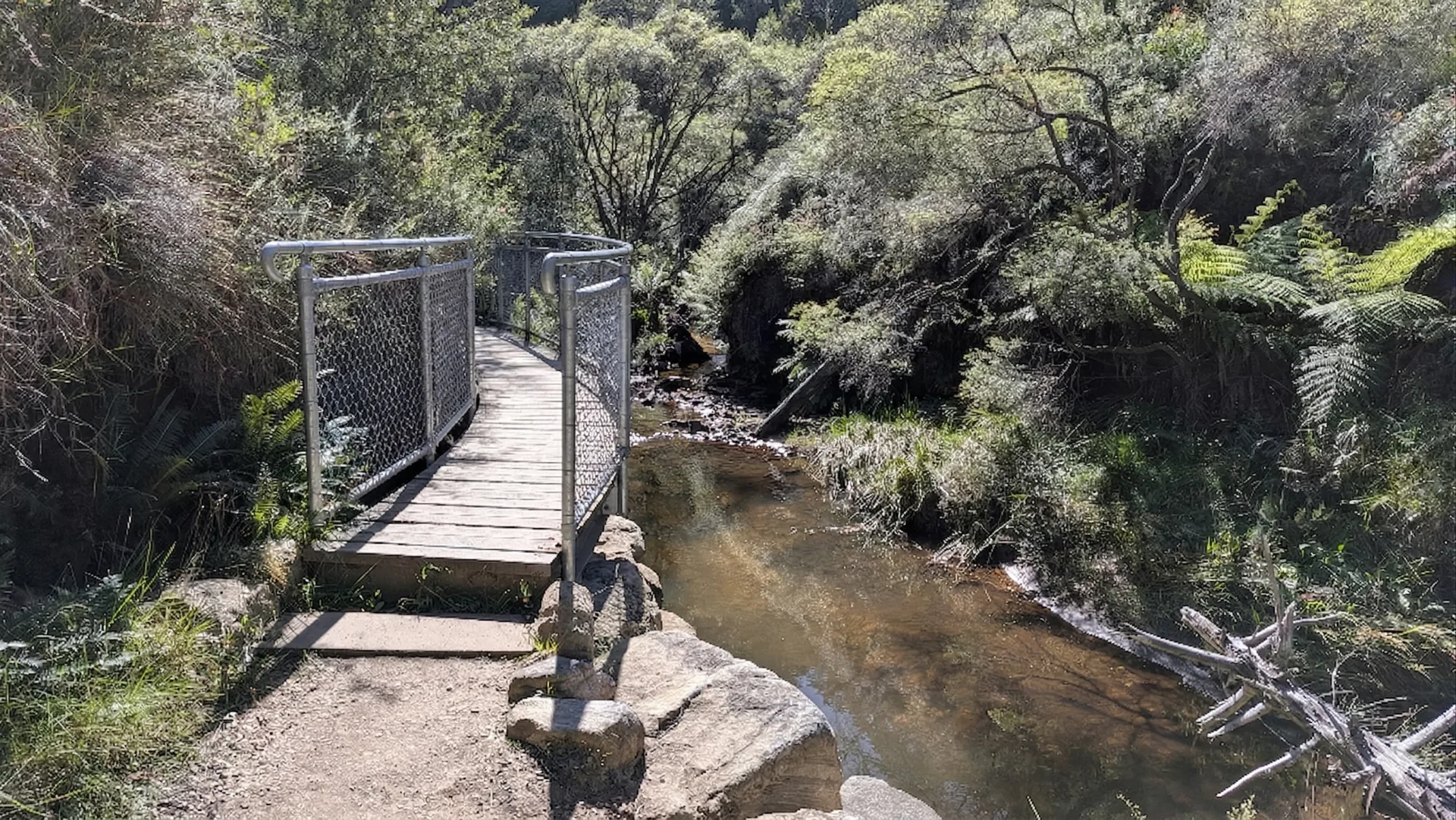 Wooden footbridge with metal railings crosses a shallow creek surrounded by native bush and fern trees along the nature walk