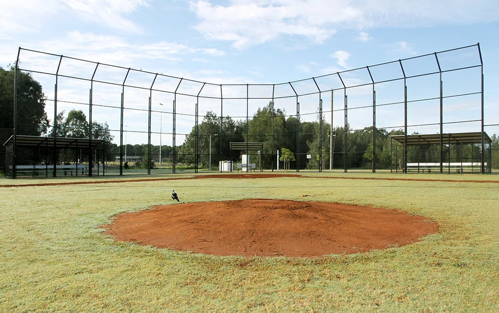 Baseball field with pitcher's mound and protective netting backdrop, surrounded by trees and bleacher seating at Caddies Creek Reserve.