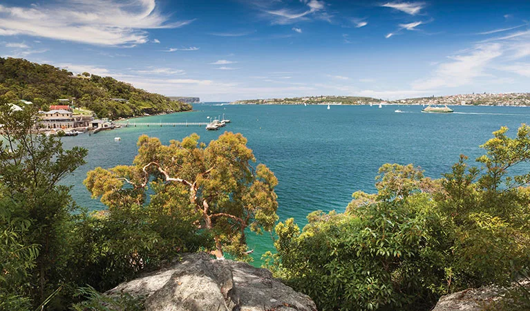 Scenic harbor view from Spit to Manly Walk showing calm blue waters, boats anchored in the distance, and lush native trees providing natural shade along the waterfront trail.