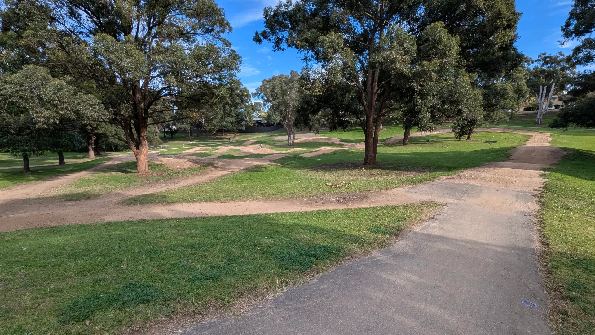 A dirt BMX pump track with various mounds and turns, winding through a grassy area shaded by large established trees.