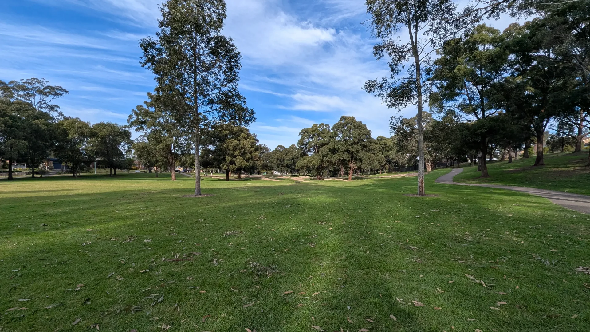 A vast, sun-drenched grassy field with scattered eucalyptus trees and a paved walking path perfect for strollers.